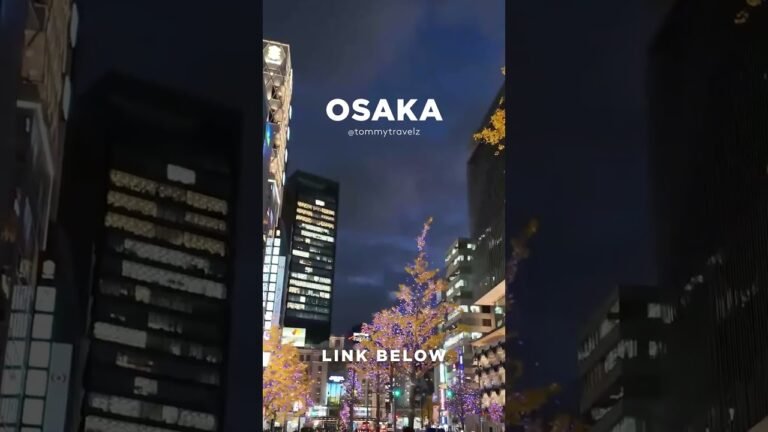 #tokyo #osaka #ohtani #kyoto #shibuya #ginza #onsen #shinjuku #soba #ramen #tokyotravel #japan