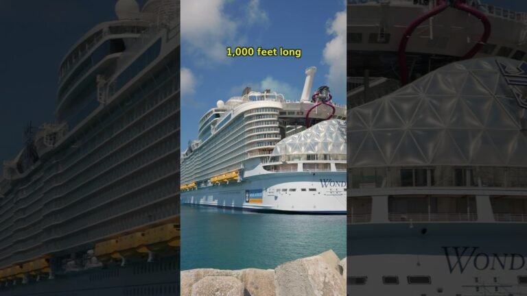 POV: you booked a cruise through @Expedia  and this is how it went… #EGPartner