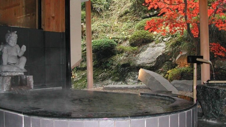 Yado Hanaya Tokubei, Tenkawa, Japan | Travel With Yashvi