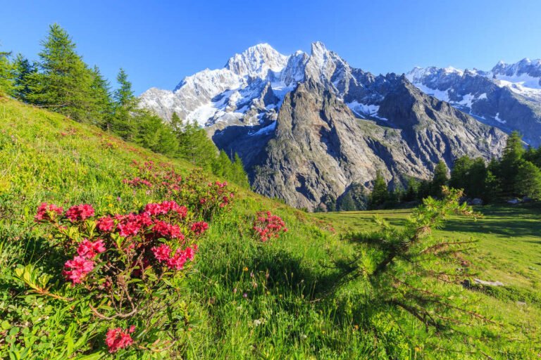 Americans Are Flocking To This Alpine Region Of Italy With Epic Mountains